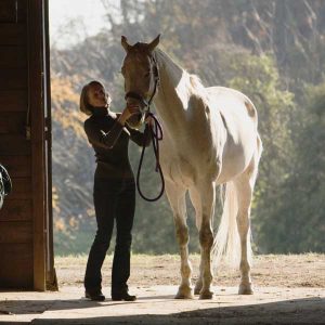 Choosing-supplements-for-senior-horses-that-have-trouble-maintaining-weight