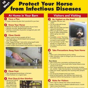 Protect-Your-Horse-From-Infectious-Diseases