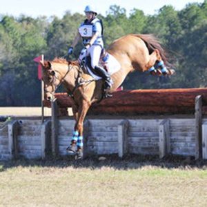 Team-Have-At-It-Ocala-Horse-Trials-Winter-II-Update