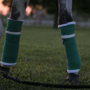 Did-you-know-allergies-can-cause-your-horse-to-stock-up