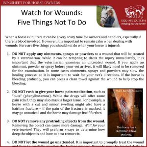 Watch-for-Wounds-Five-Things-Not-to-Do