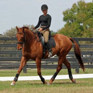 Dressage-is-not-all-bad