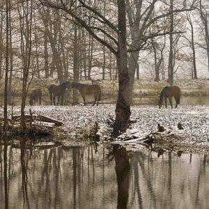 Water-in-the-Winter