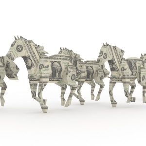 The-Real-Cost-of-Horse-Ownership