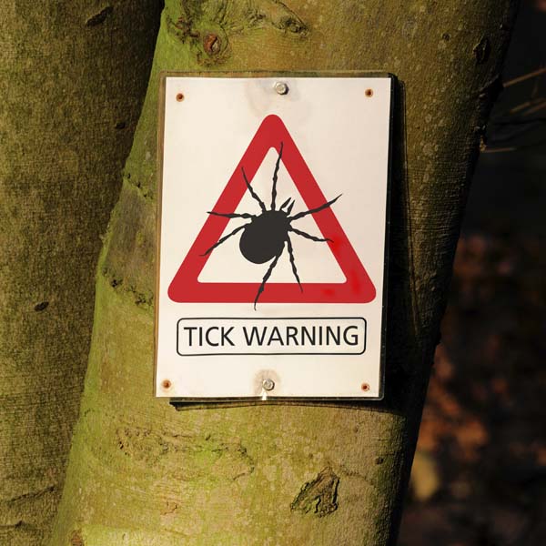 Lyme Disease in Horses KPP