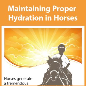 Dehydration-in-horse-tb