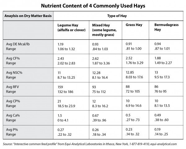 Hay Protein Chart