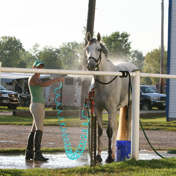 Horse Electrolytes Sweetened or Unsweetened? KPP