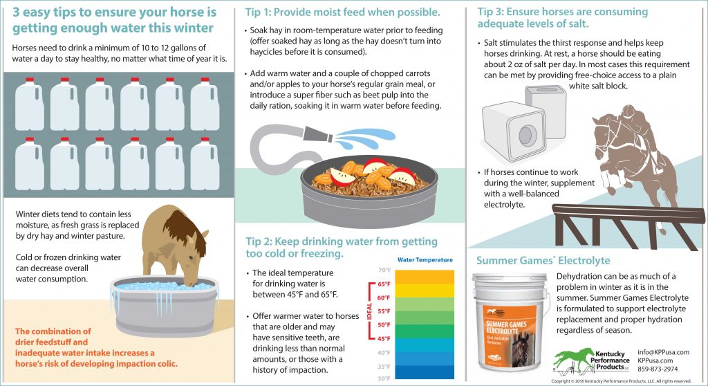 3 Easy Tips to Ensure Your Horse Is Getting Enough Water This Winter KPP