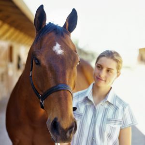 Gastric-Ulcers-in-Recreational-Horses