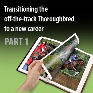 Transitioning-the-off-the-track-Thoroughbred-to-a-new-career