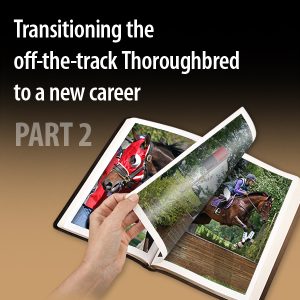 Transitioning-the-off-the-track-Thoroughbred-to-a-new-caree