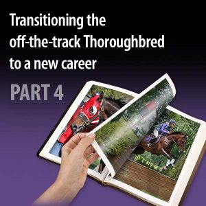 Transitioning-the off-the-track-Thoroughbred-to-a-new-career