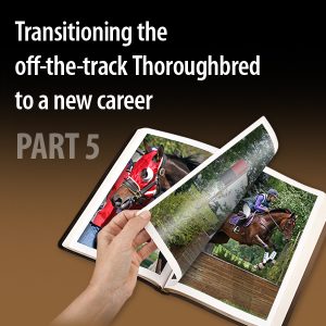 Transitioning-the-off-the-track-Thoroughbred-to-a-new-career