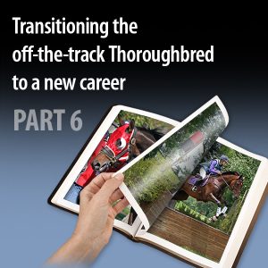 Transitioning-the-off-the-track-Thoroughbred-to-a-new-career