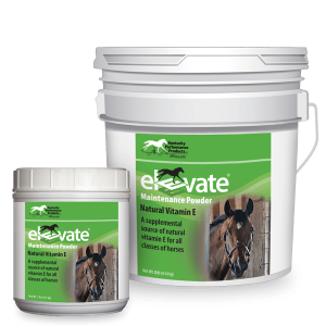 Elevate-Maintenance-Powder-natural-vitamin-e-supplement-horses copy1