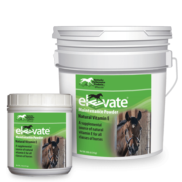 horse products