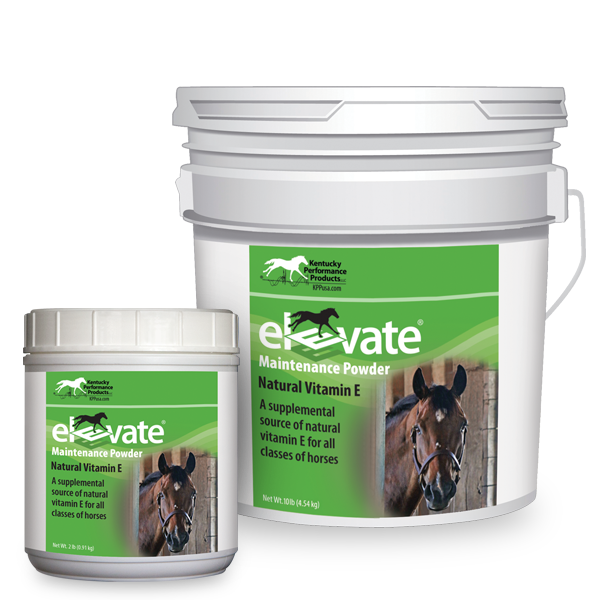 Elevate-Maintenance-Powder-natural-vitamin-e-supplement-horses