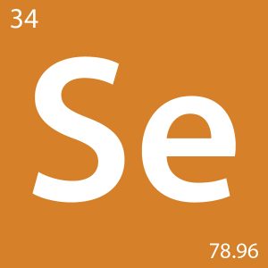 Selenium-An-Essential-Minera-for-horses