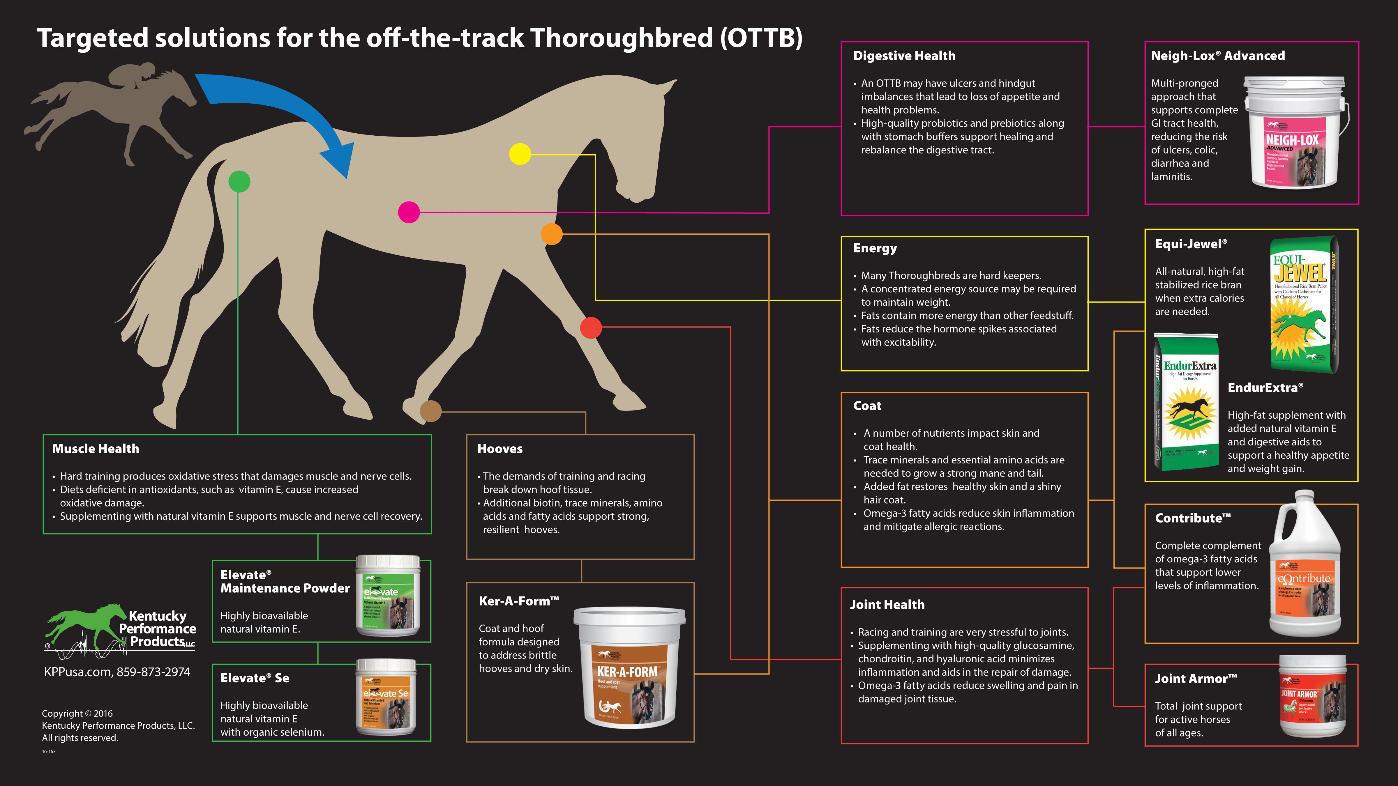 Thoroughbred Training Charts