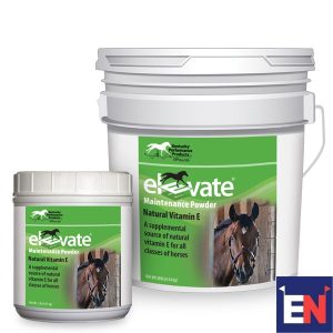 Eventing-Nation-Elevate-Review