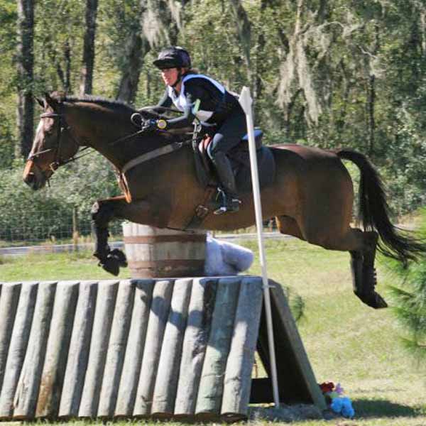 Research Proven Supplements Keep Horses Healthy KPP