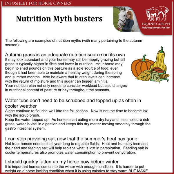 Nutrition Myth Busters - KPP