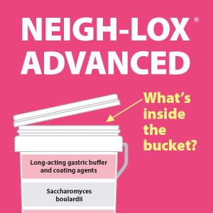 Neigh-Lox-Advanced-Whats-Inside-The-Bucket-18-151tb