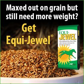 280x280-Equi-Jewel-Rice-Bran-Grain