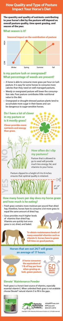 How Quality and Type of Pasture Impact Your Horseโs Diet Biology Diagrams