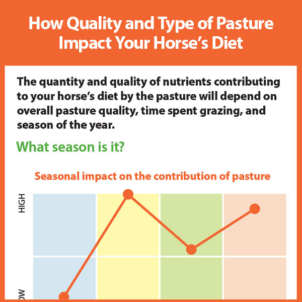 How Quality and Type of Pasture Impact Your Horseโs Diet Biology Diagrams