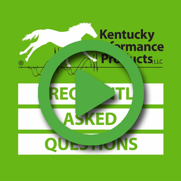 What Horses Need Extra Vitamins and Minerals? KPP