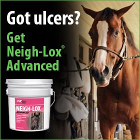 280x280-neigh-lox-advanced-horse-got-ulcers