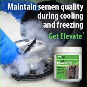280x280-Elevate-natural-vitamin-e-frozen-semen-quality