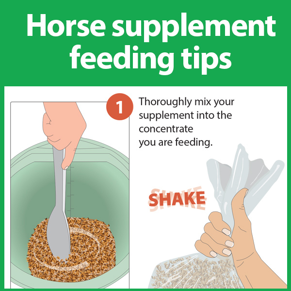 Horse Supplement Storage Tips - KPP