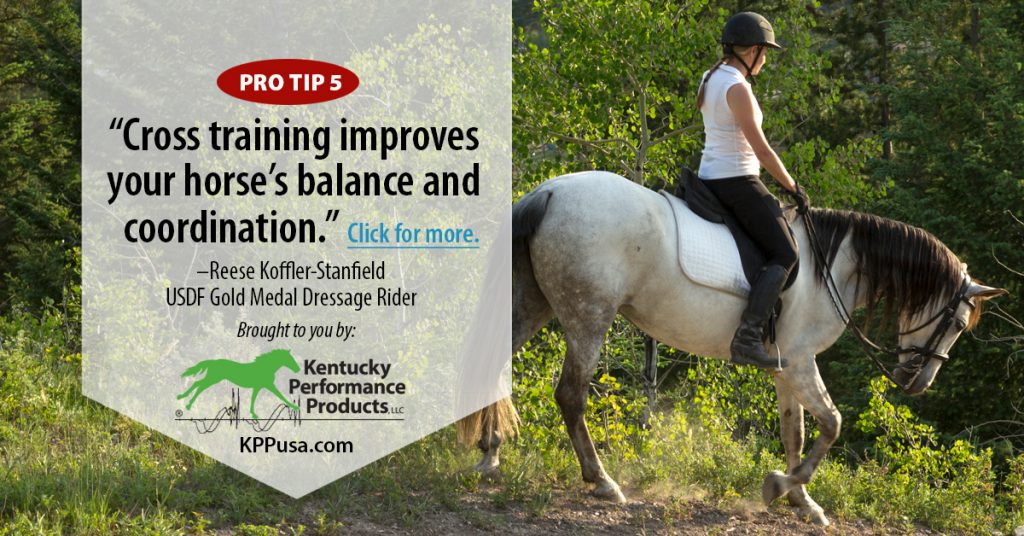 Cross training is great for horses of all disciplines. - KPP