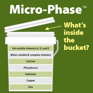 19-141-Whats-Inside-The-Bucket- Micro-Phase v6tb