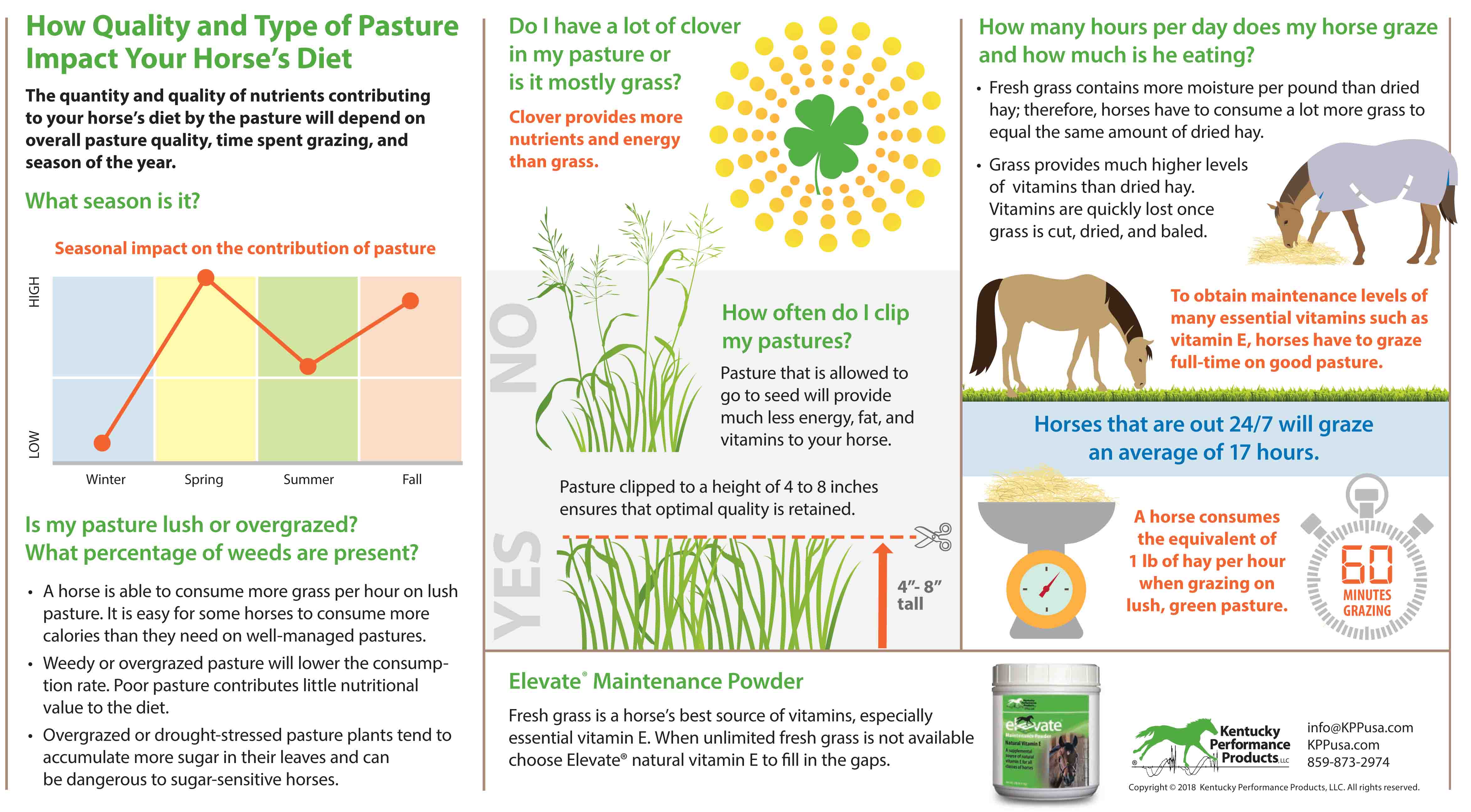 Horse Supplements and Nutrition Advice Kentucky Performance Products