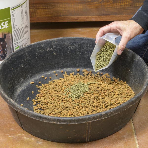 Nutritional myth When fed freechoice vitamins and minerals, horses