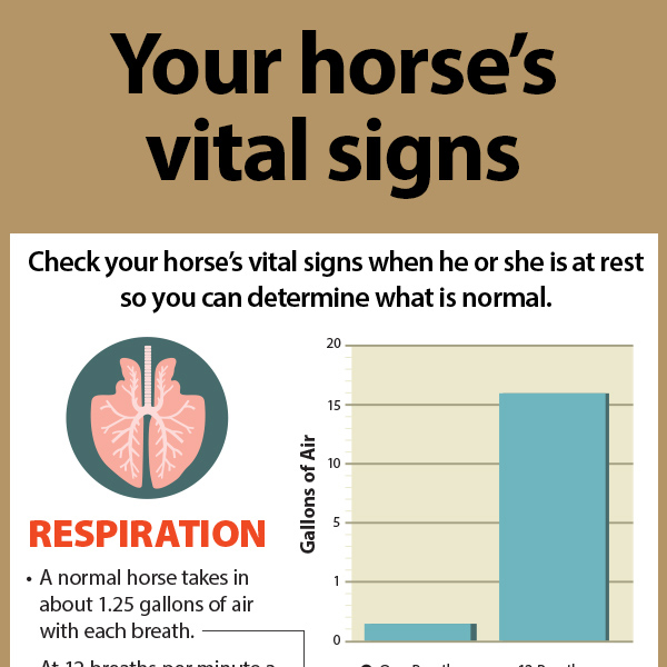 Do You Know What Your Horse s Vital Signs Should Be KPP