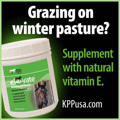 Vitamin E winter pasture