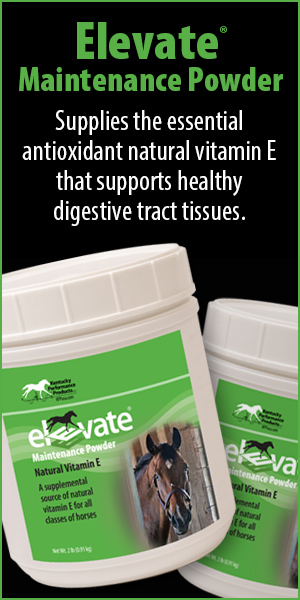 Elevate Maintenance Powder