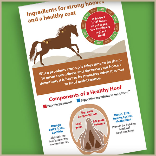 Hoof infographic