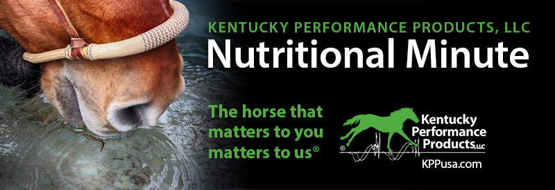 Is your horse at risk for dehydration?