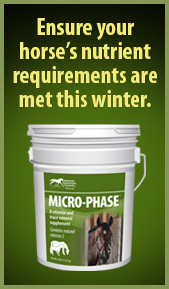 Microphase ad