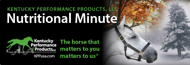 Don’t let the changing seasons catch your horse off guard