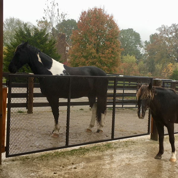 Rainy days and dry stalls KPP