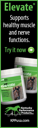 Elevate muscle ad