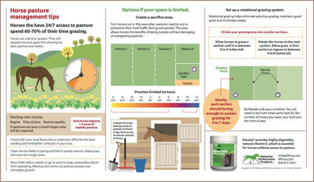 Horse pasture management