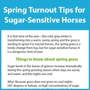 22-100 Spring-turnout-tips- sugar-sensitve-horses infographic tb